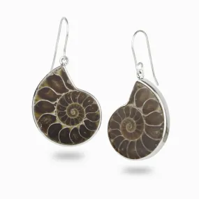 Ammonite Drop Earrings