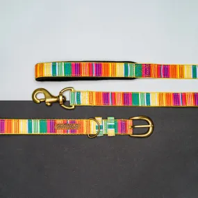 Colourful Stripes Nylon Belt Collar and Leash with Padded Handle