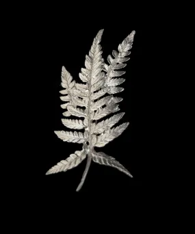 Fine Fern Silver Brooch