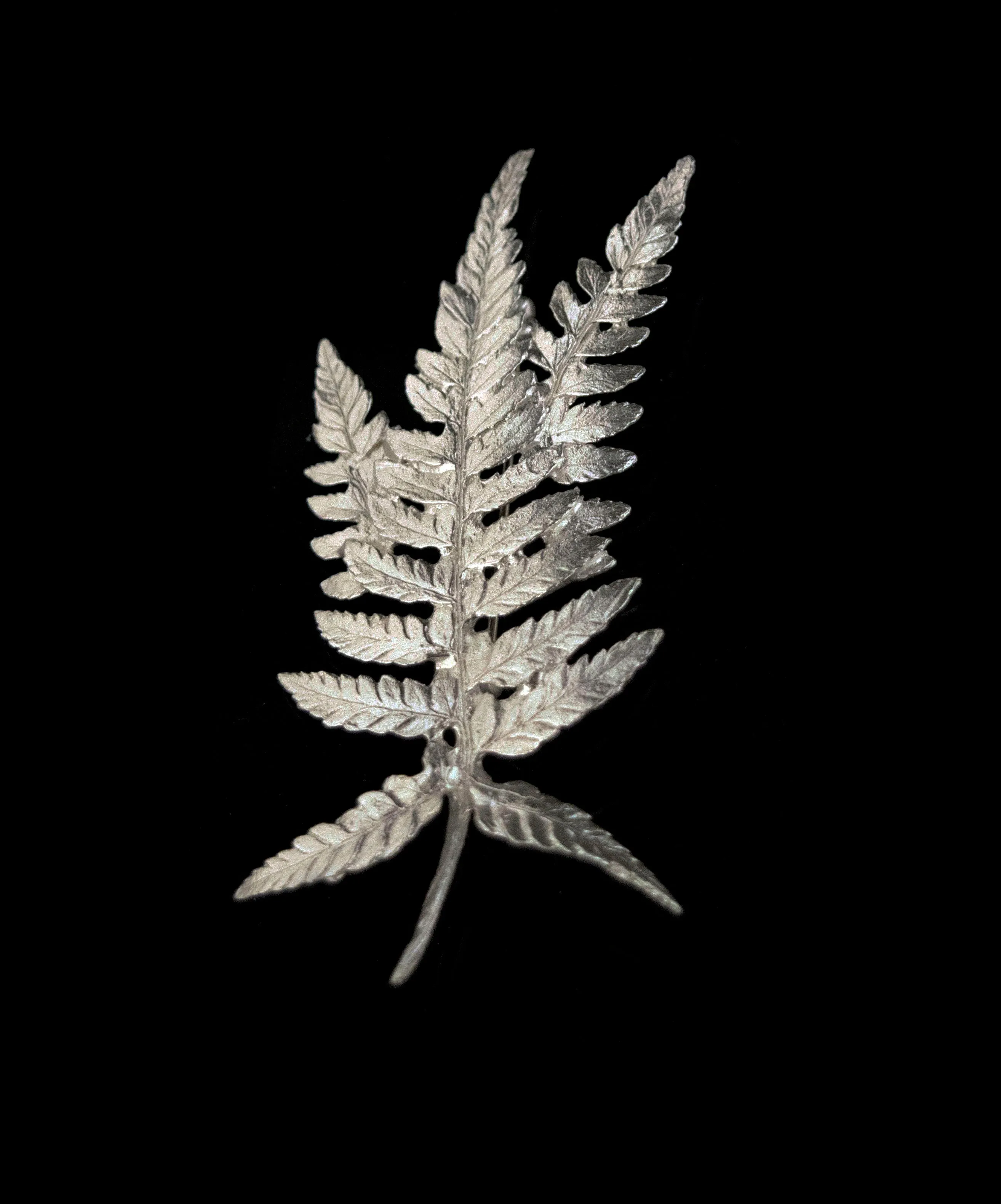 Fine Fern Silver Brooch