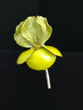 Iris Magnet