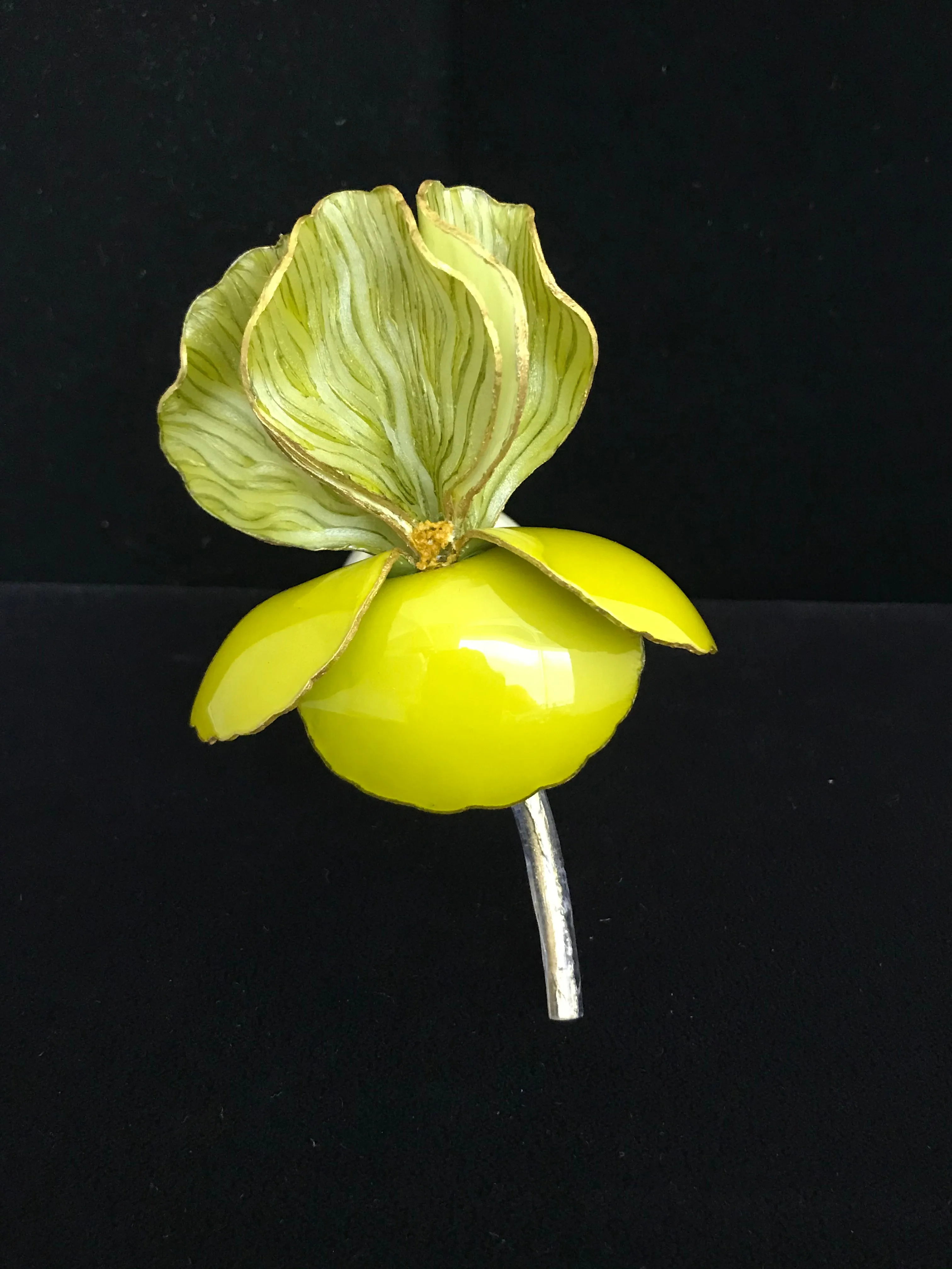 Iris Magnet