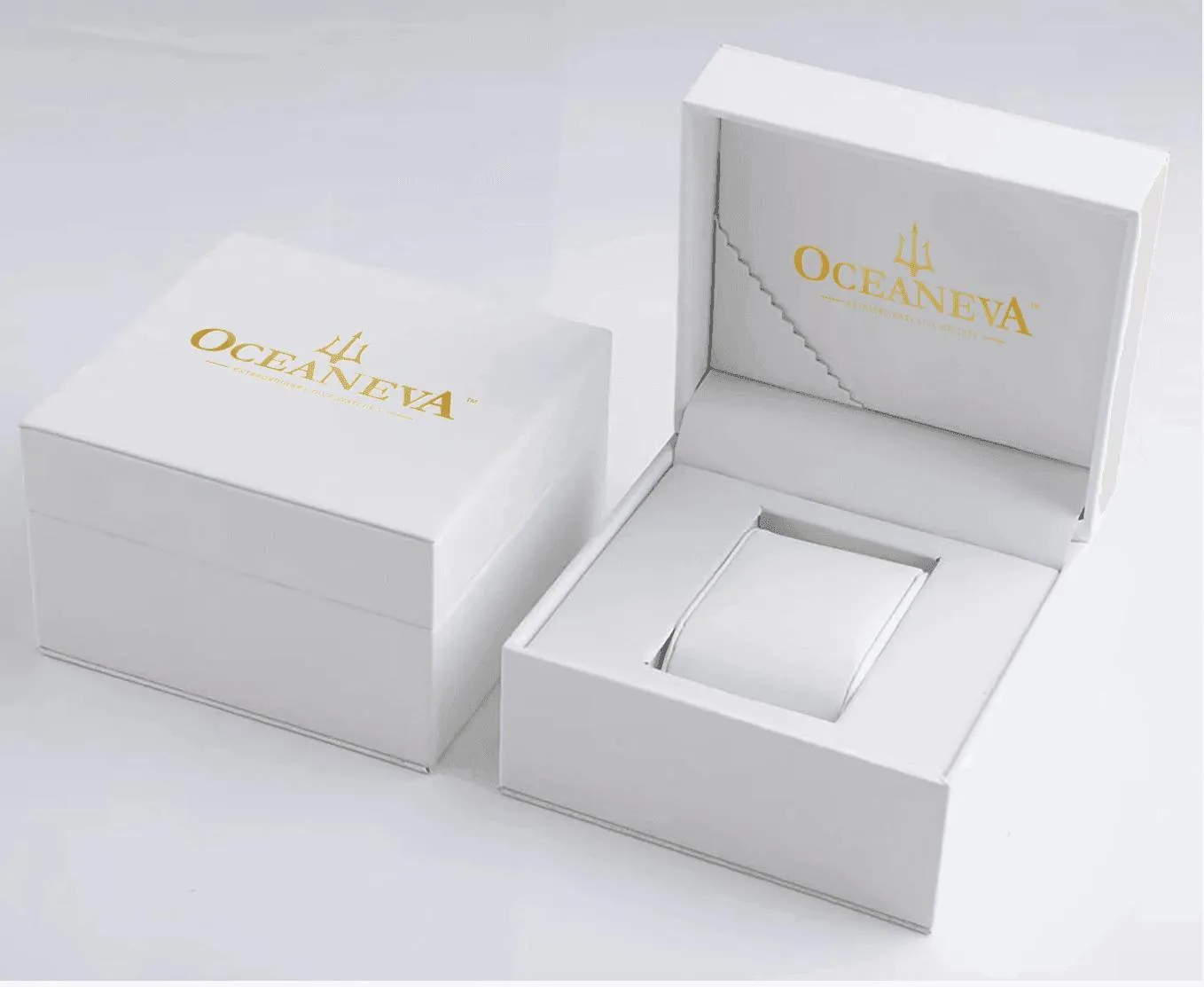 Oceaneva Men's OceanTrek GMT Automatic 200m Leather Silver Watch