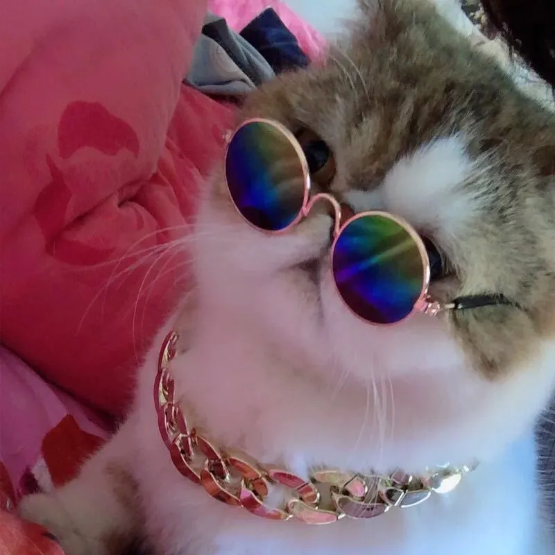 Pet Glasses Sunglasses Cat Sunglasses