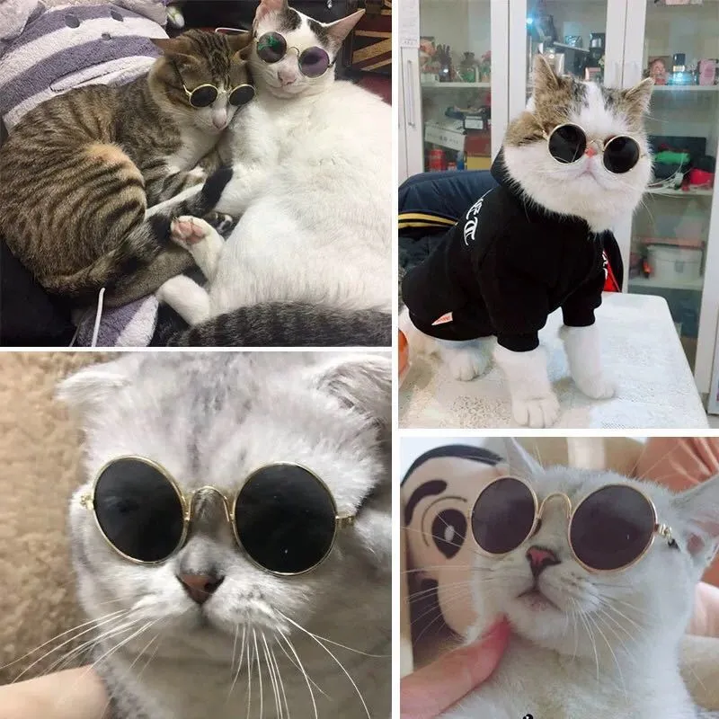 Pet Glasses Sunglasses Cat Sunglasses