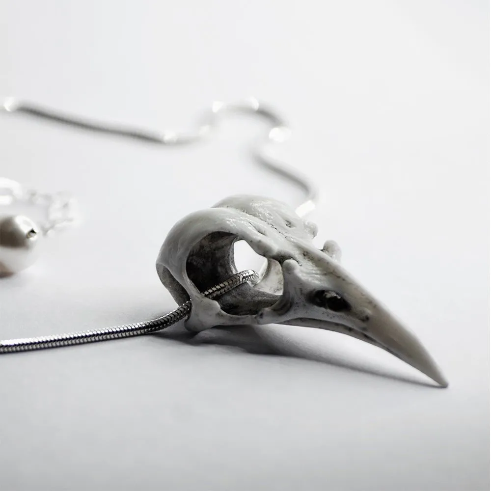 Raven Skull necklace
