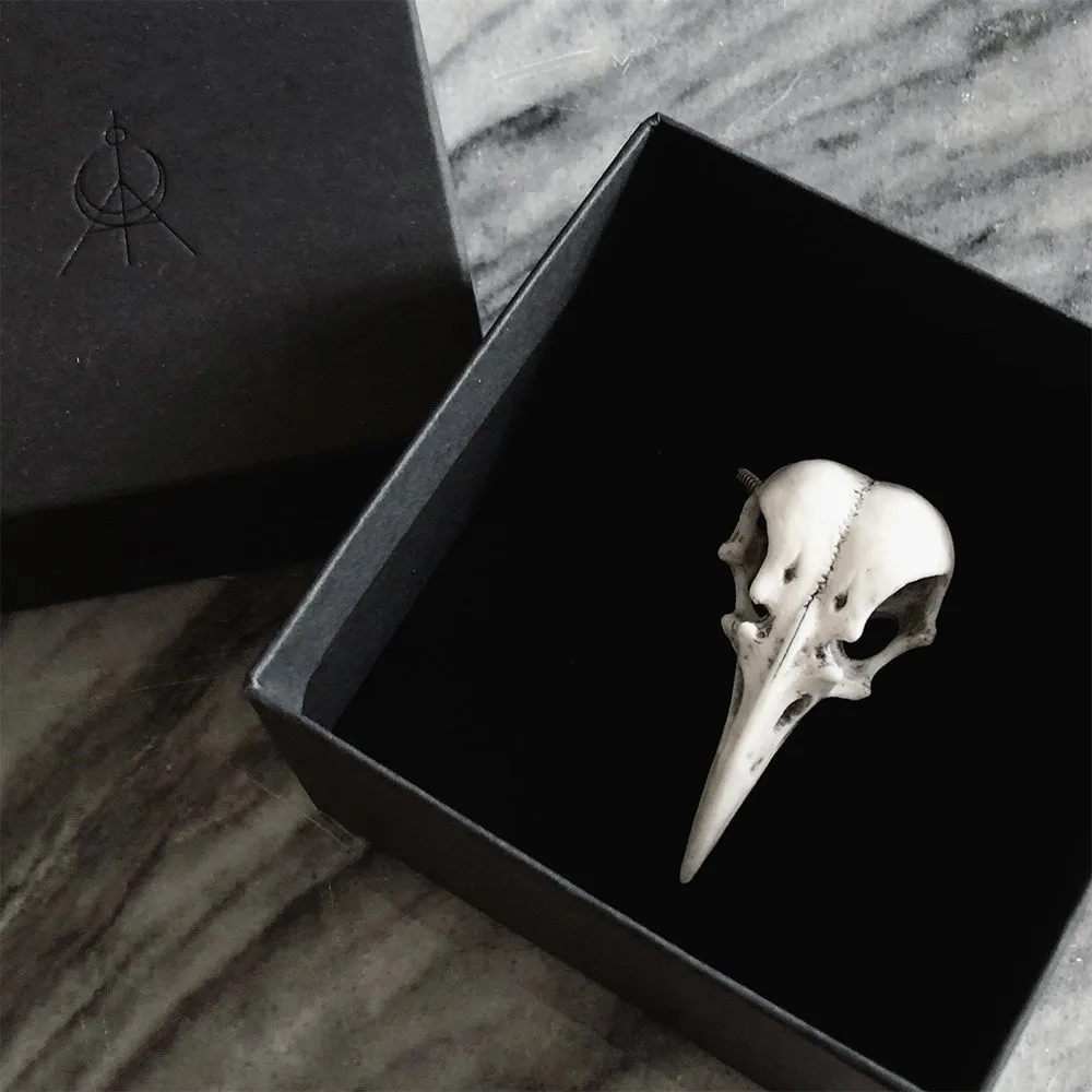 Raven Skull necklace